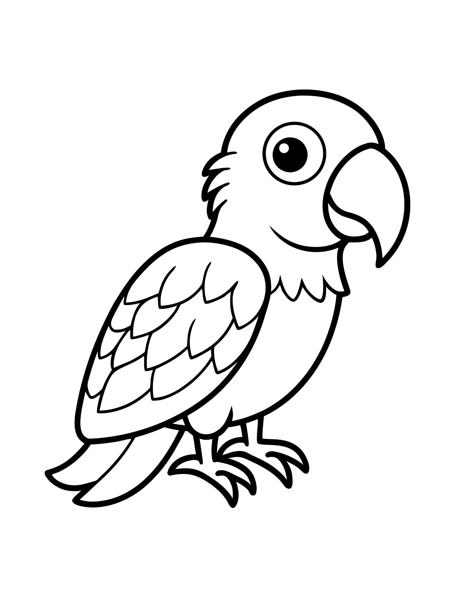 Coloriage perroquet du livre Animaux de la jungle